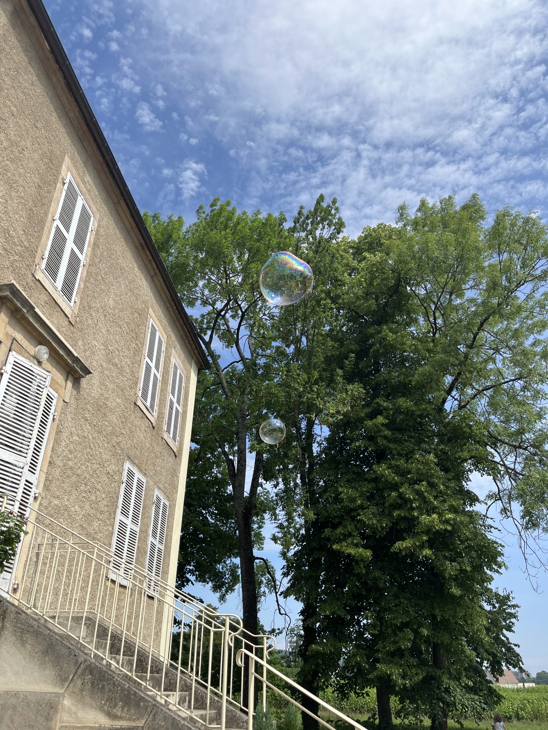 Les ateliers Saint-Louis